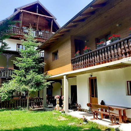 Pensiunea Perla Maramuresului Borşa エクステリア 写真