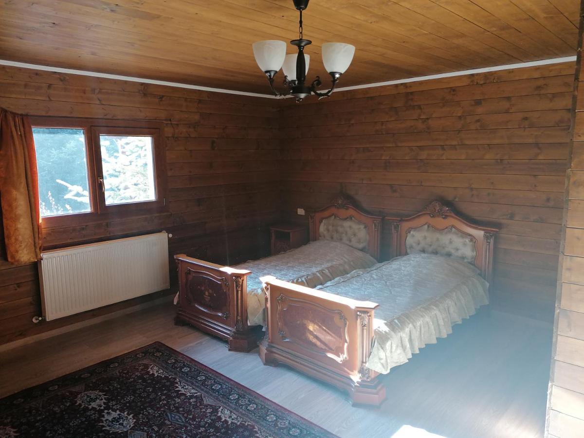 Pensiunea Perla Maramuresului Borşa エクステリア 写真