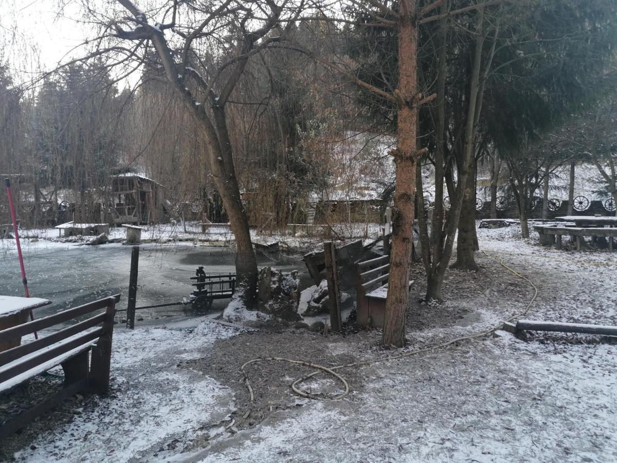 Pensiunea Perla Maramuresului Borşa エクステリア 写真