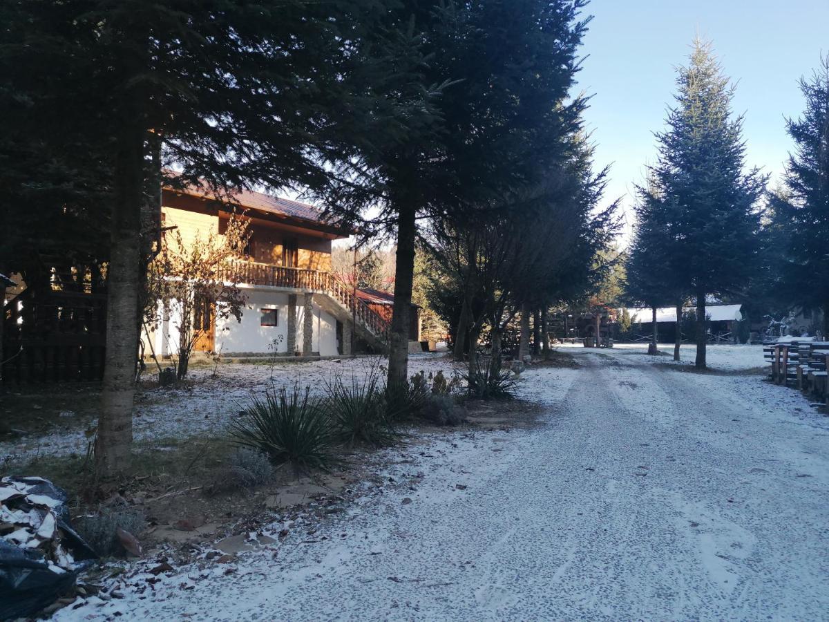 Pensiunea Perla Maramuresului Borşa エクステリア 写真