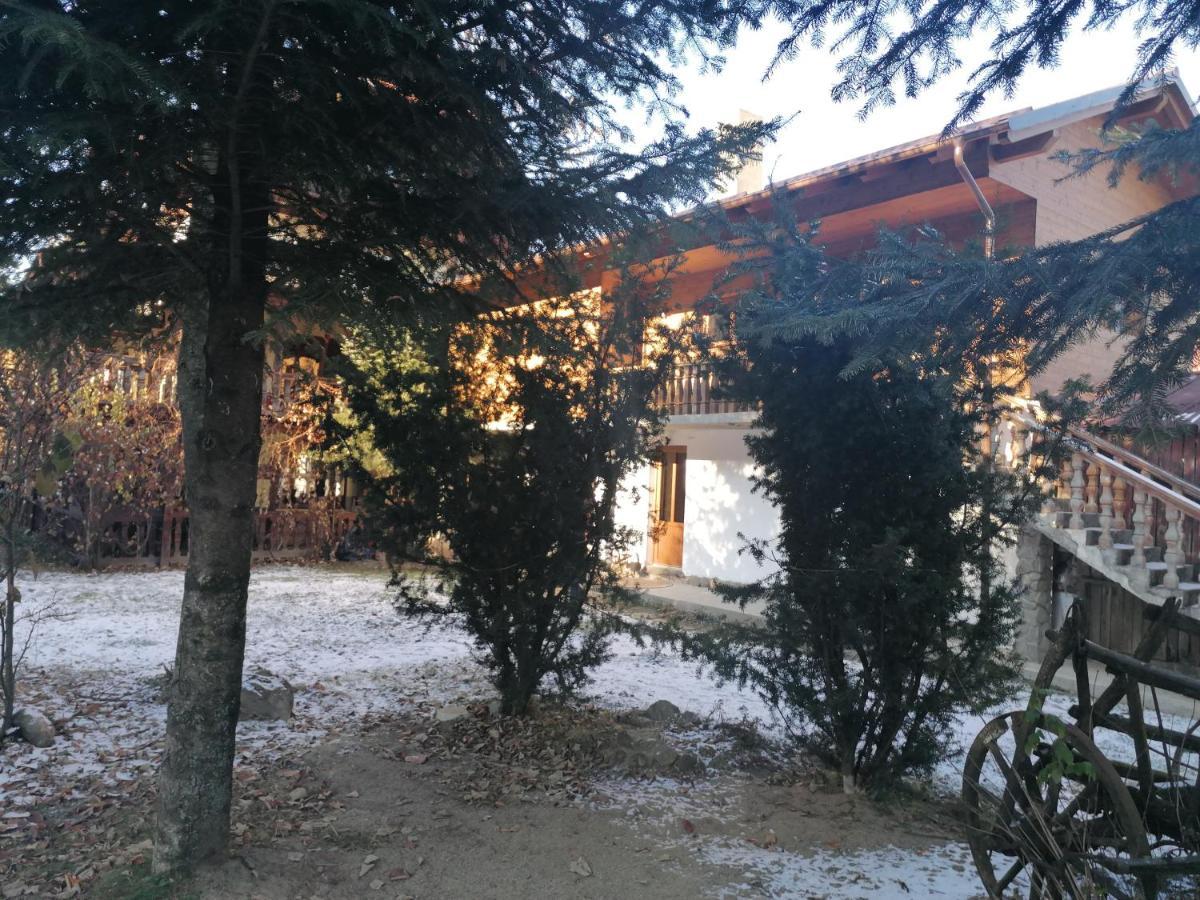 Pensiunea Perla Maramuresului Borşa エクステリア 写真
