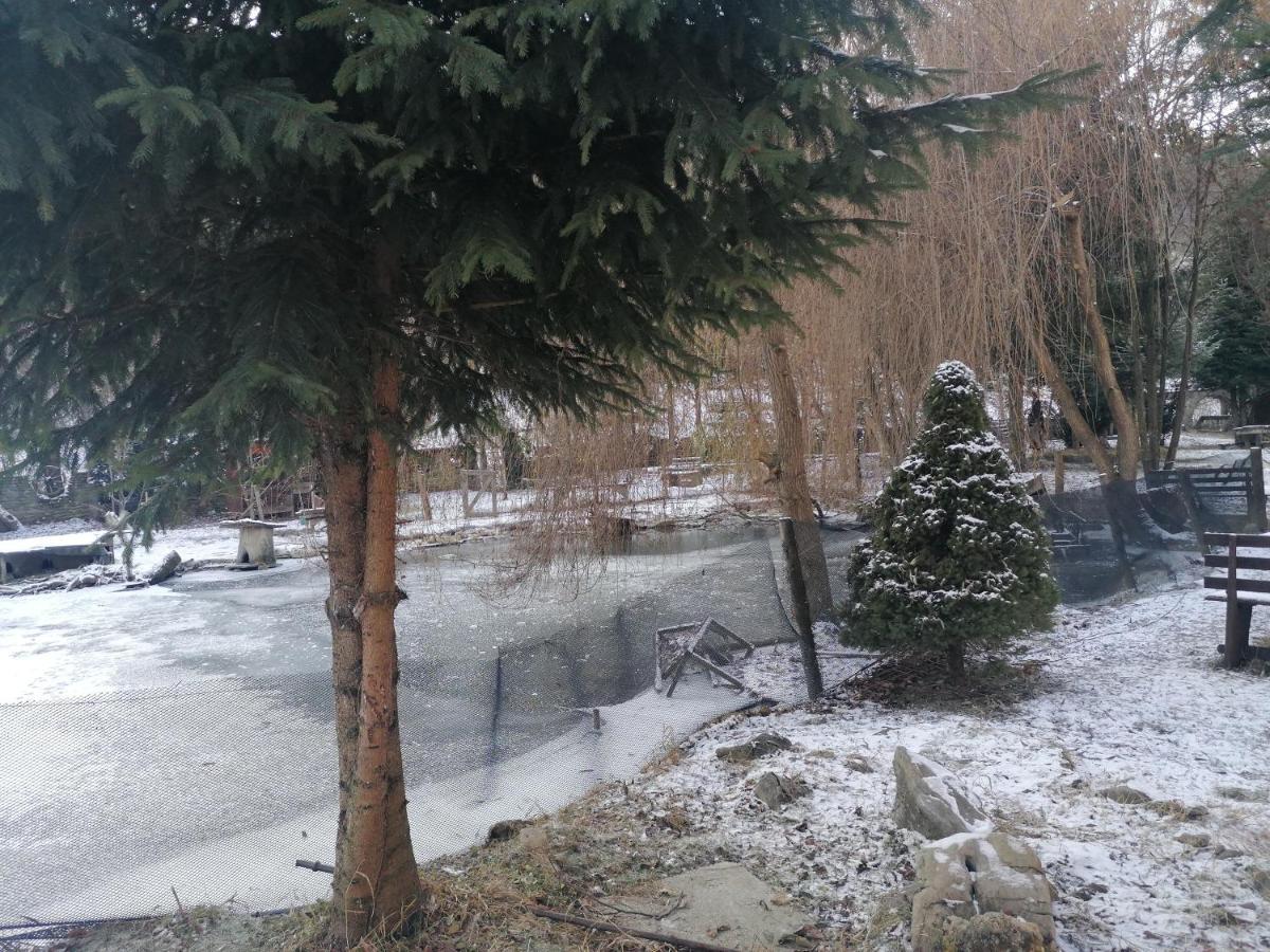 Pensiunea Perla Maramuresului Borşa エクステリア 写真