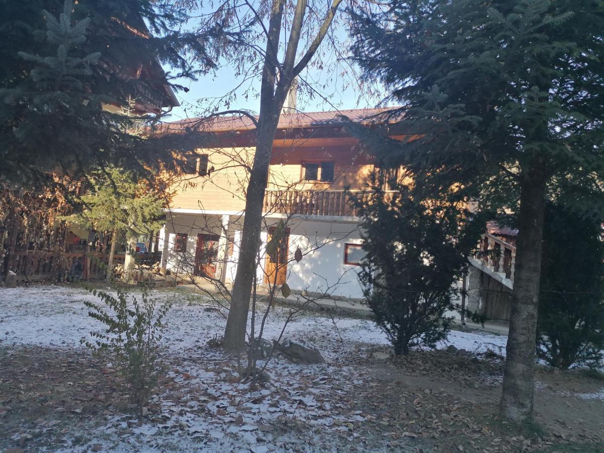 Pensiunea Perla Maramuresului Borşa エクステリア 写真