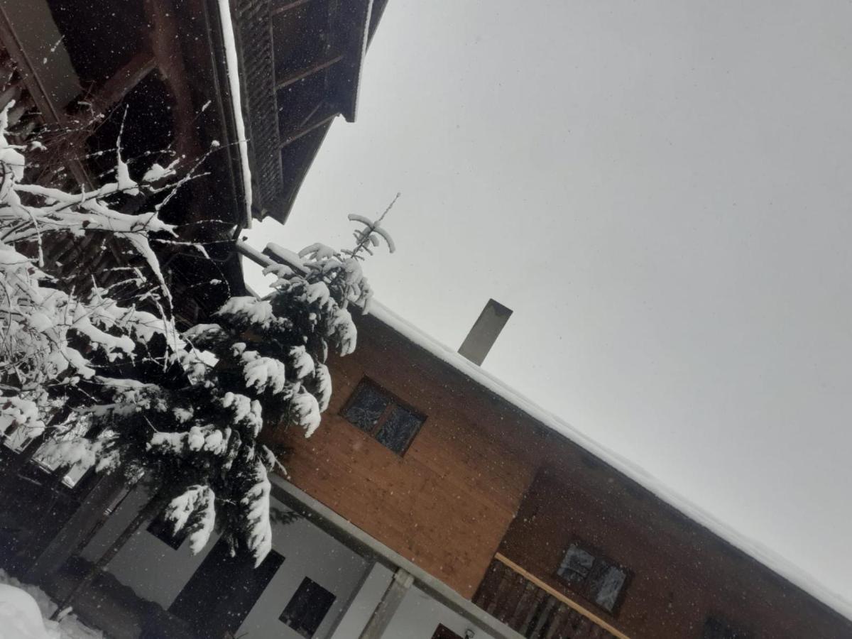 Pensiunea Perla Maramuresului Borşa エクステリア 写真