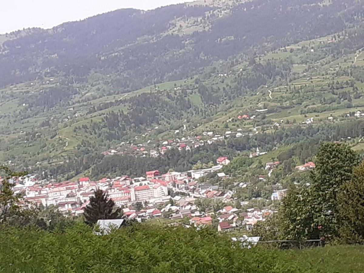 Pensiunea Perla Maramuresului Borşa エクステリア 写真
