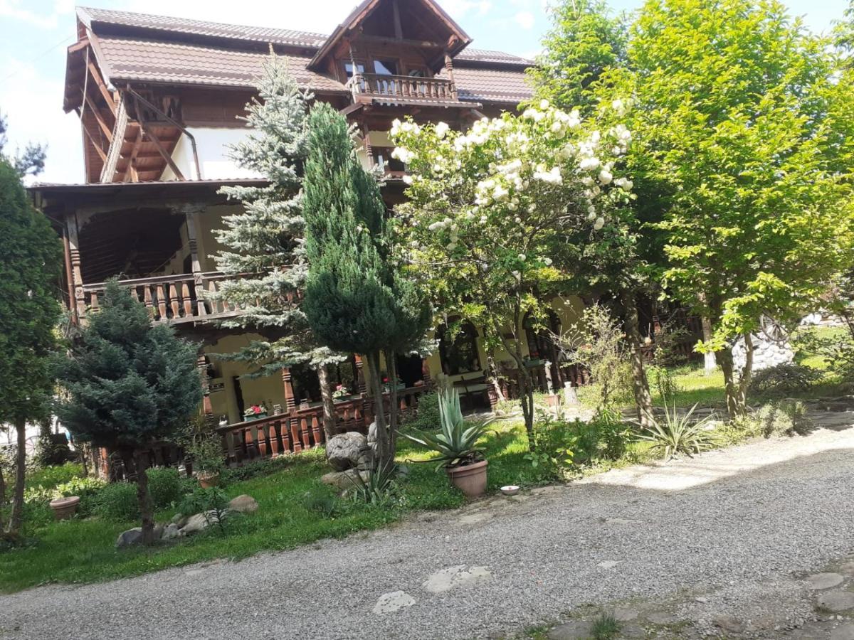 Pensiunea Perla Maramuresului Borşa エクステリア 写真