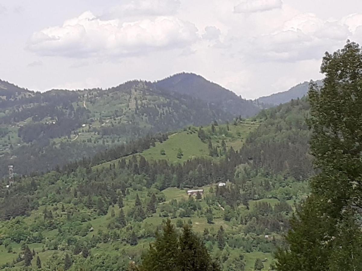 Pensiunea Perla Maramuresului Borşa エクステリア 写真