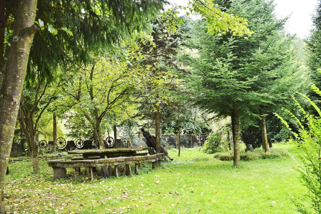Pensiunea Perla Maramuresului Borşa エクステリア 写真