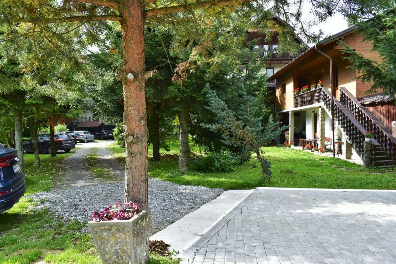 Pensiunea Perla Maramuresului Borşa エクステリア 写真