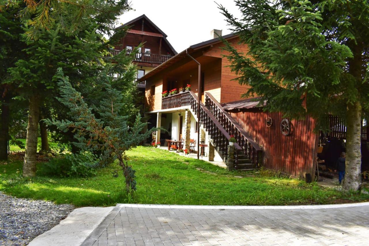 Pensiunea Perla Maramuresului Borşa エクステリア 写真
