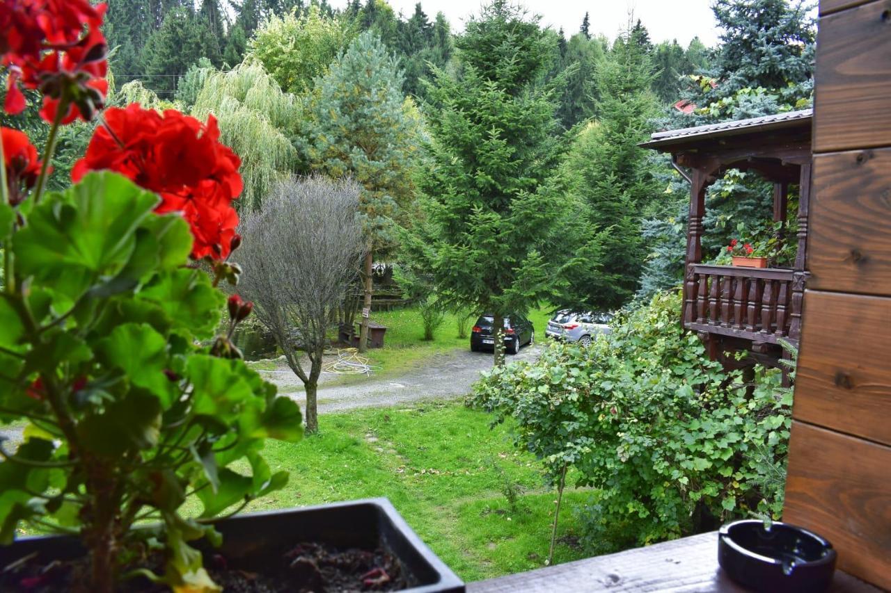 Pensiunea Perla Maramuresului Borşa エクステリア 写真