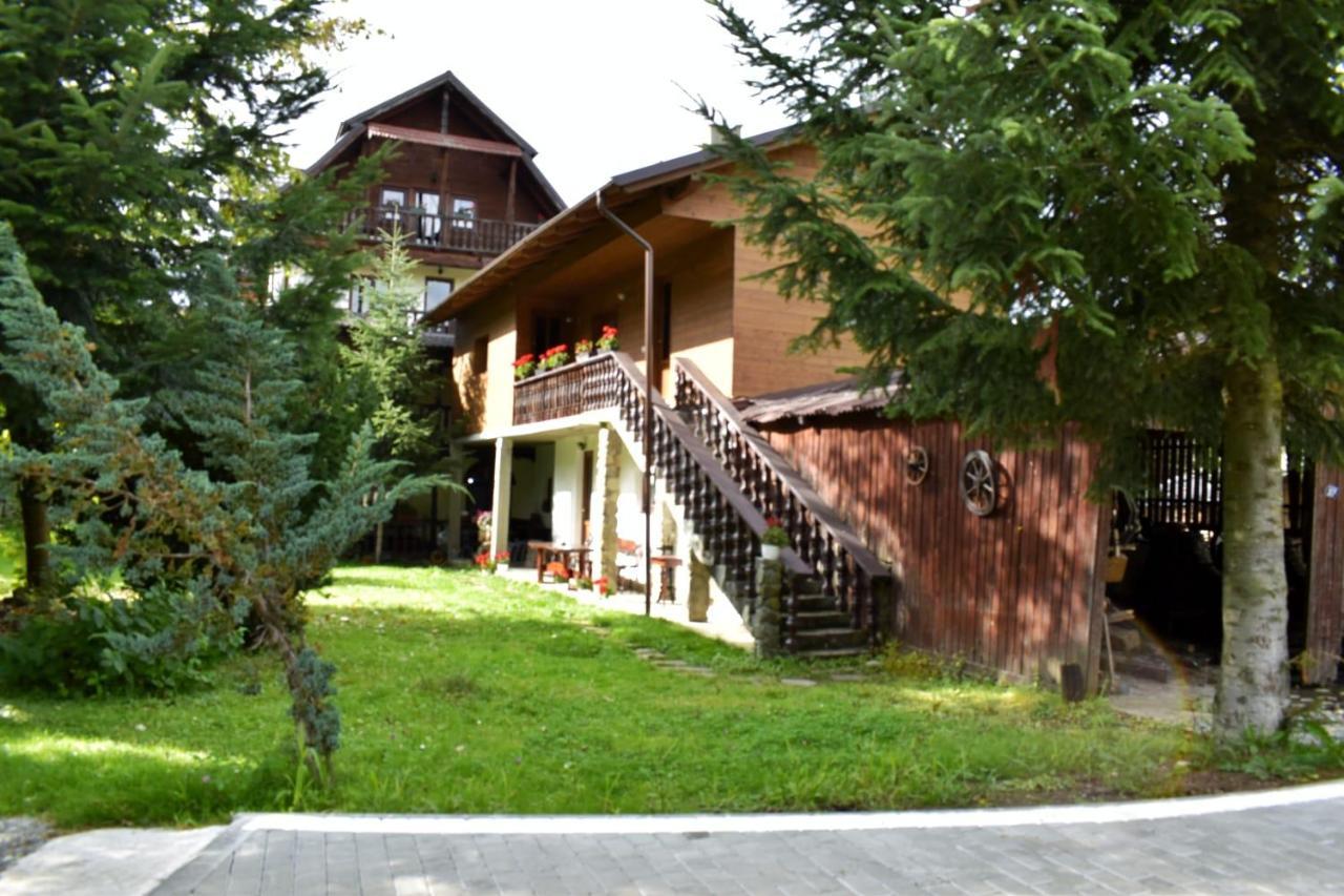 Pensiunea Perla Maramuresului Borşa エクステリア 写真