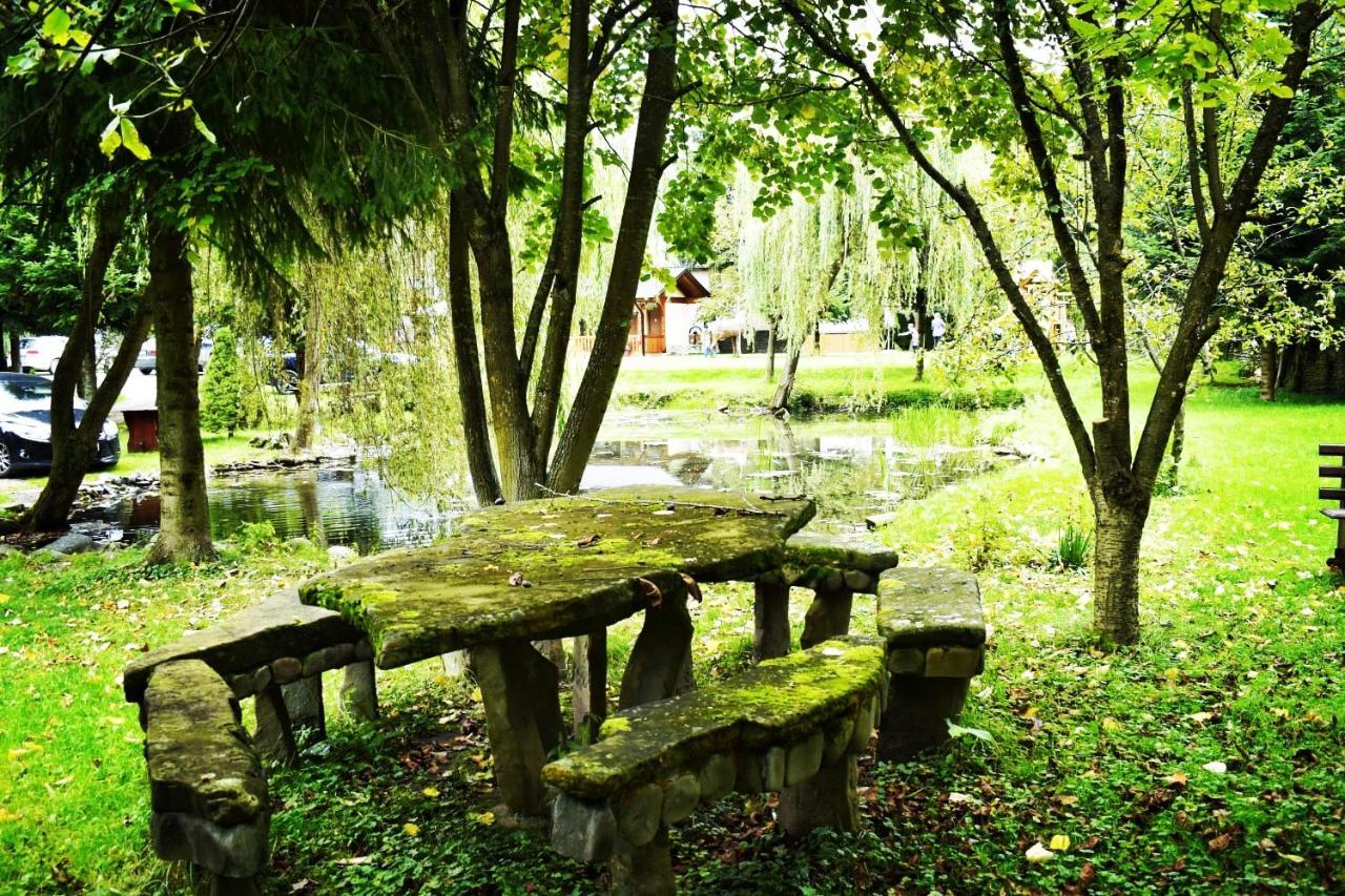 Pensiunea Perla Maramuresului Borşa エクステリア 写真