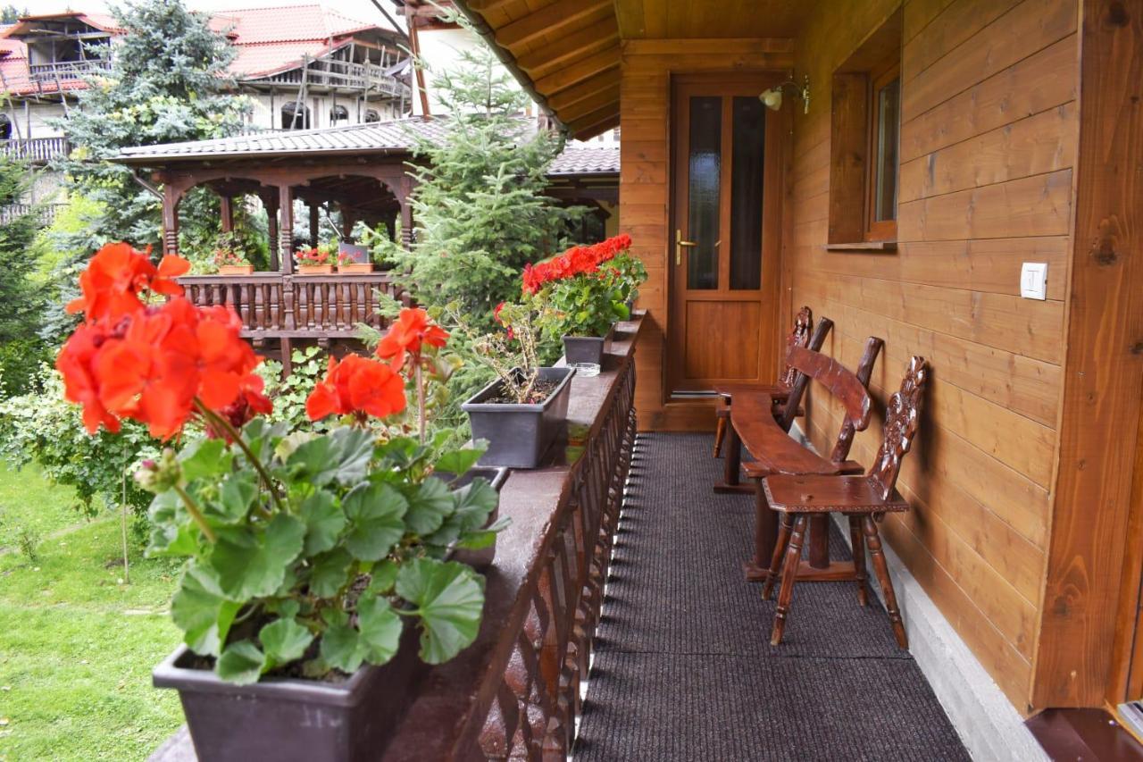 Pensiunea Perla Maramuresului Borşa エクステリア 写真