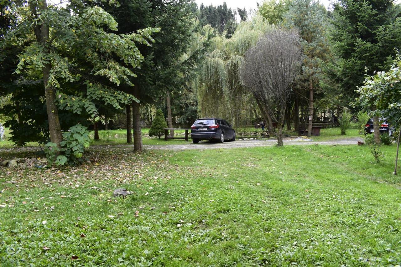 Pensiunea Perla Maramuresului Borşa エクステリア 写真