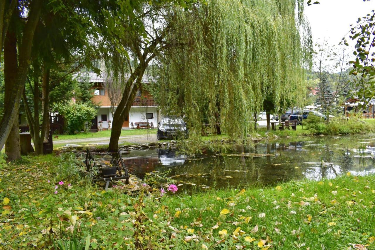 Pensiunea Perla Maramuresului Borşa エクステリア 写真